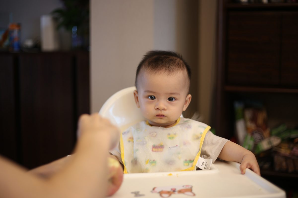 kursi makan bayi